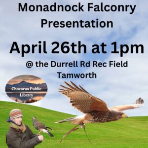 488615988_1070119108488244_4910085723396399024_n Monadnock Falconry